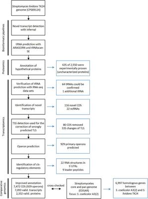 Extensive Reannotation of the Genome of the Model Streptomycete Streptomyces lividans TK24 Based on Transcriptome and Proteome Information